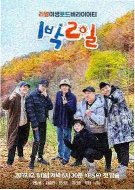 一起去露营 久久视频在线观看免费