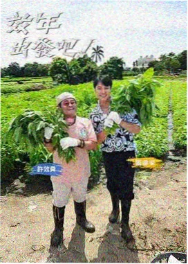 舞台追光者 久久视频综艺免费